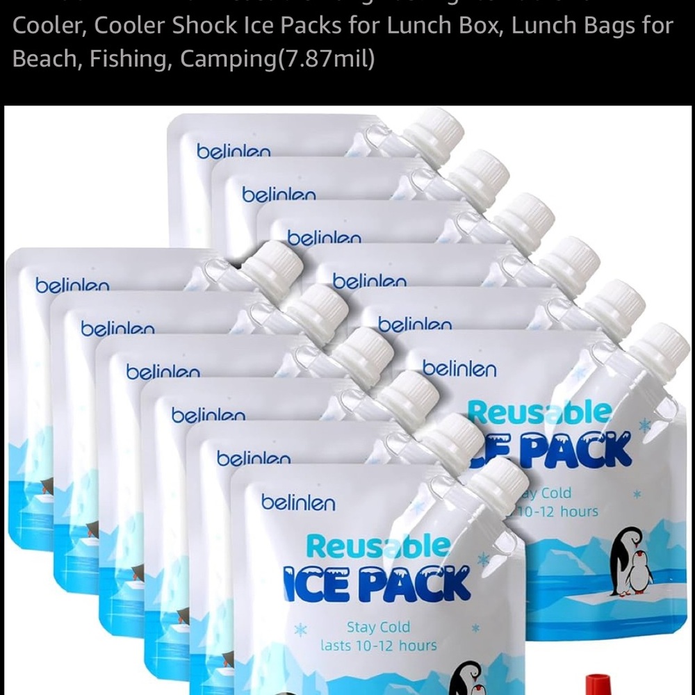 Set of 12 Belinlen Reusable Ice Packs NWOB with funnel